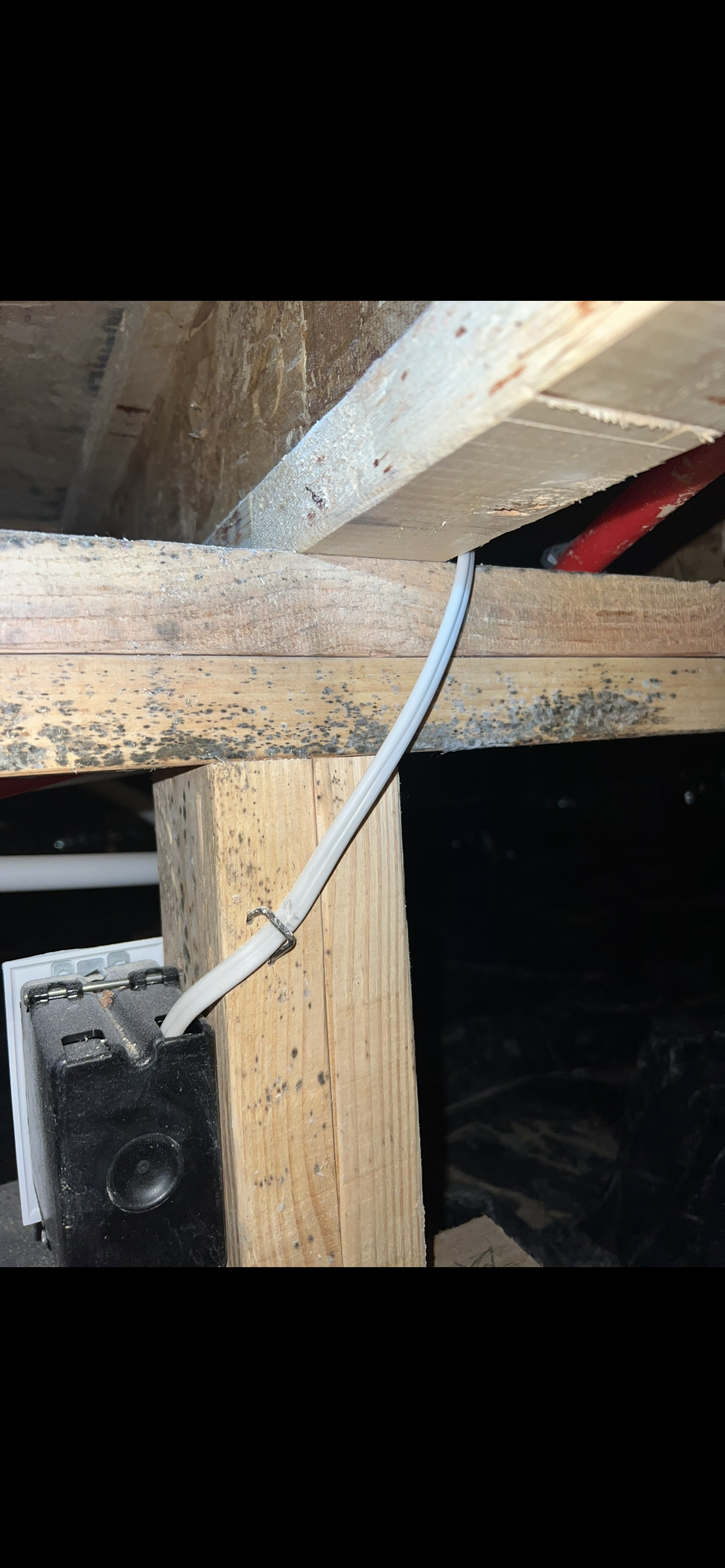 Water Damage Restoration