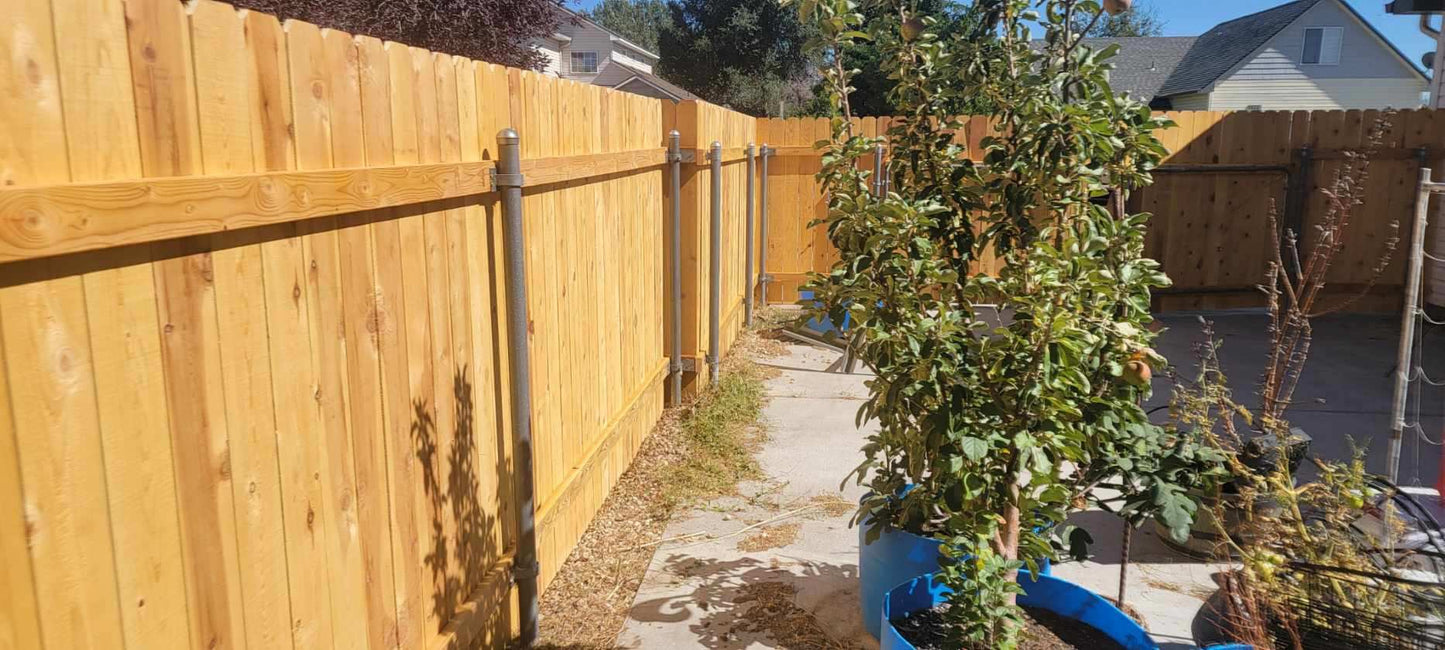 Fencing