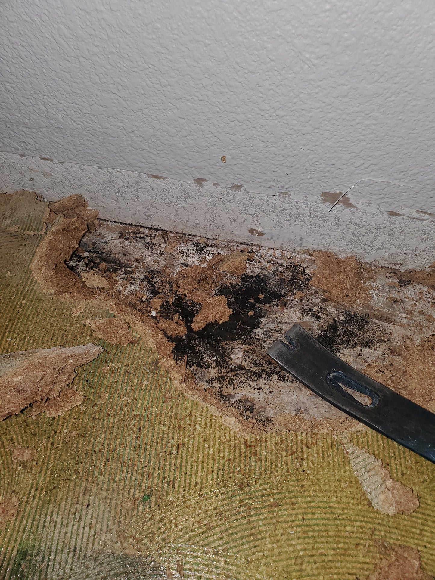 Water Damage Restoration