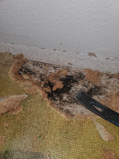 Water Damage Restoration