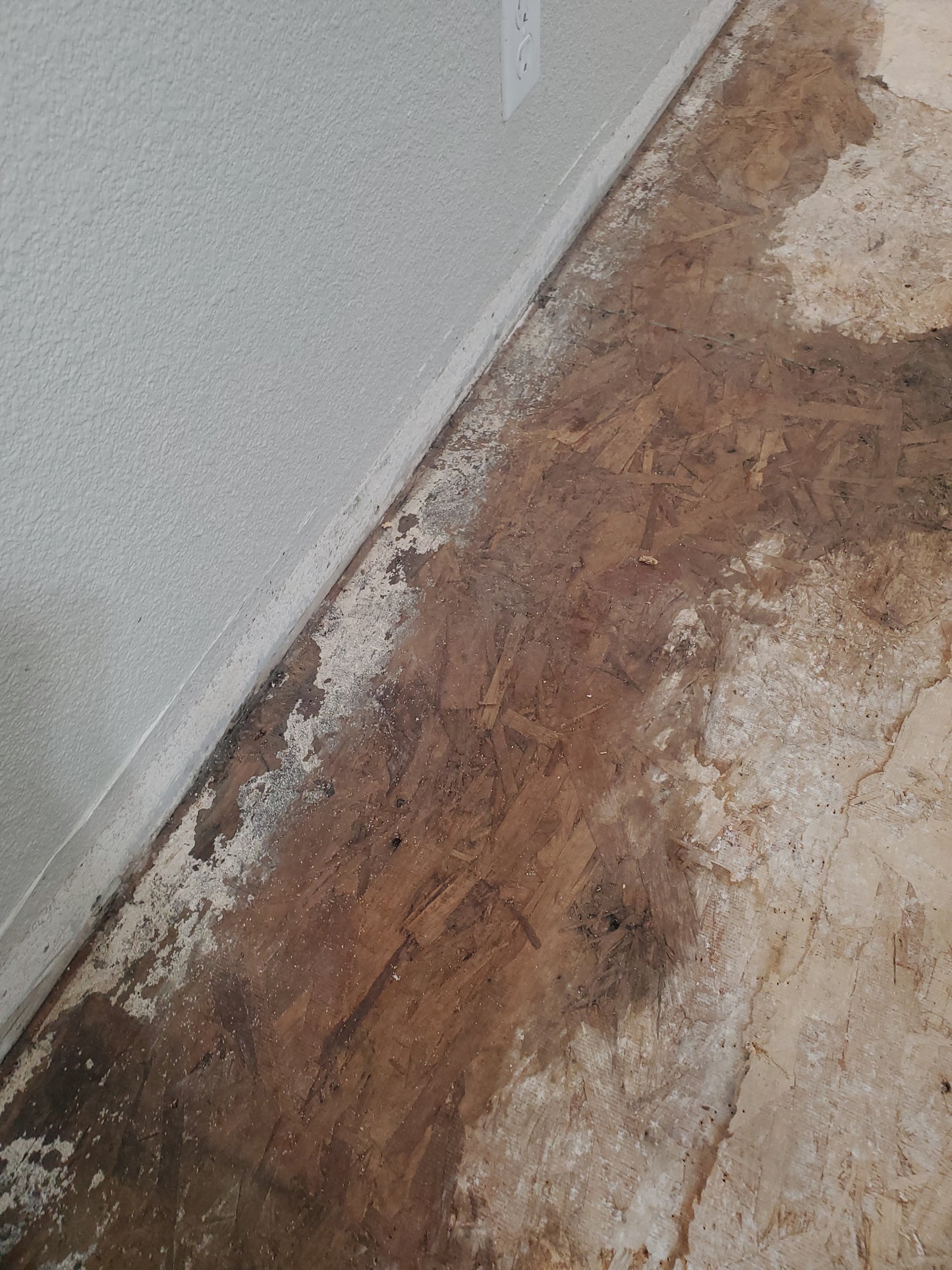 Water Damage Restoration